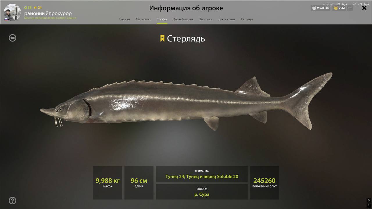 Река Сура — Трофей