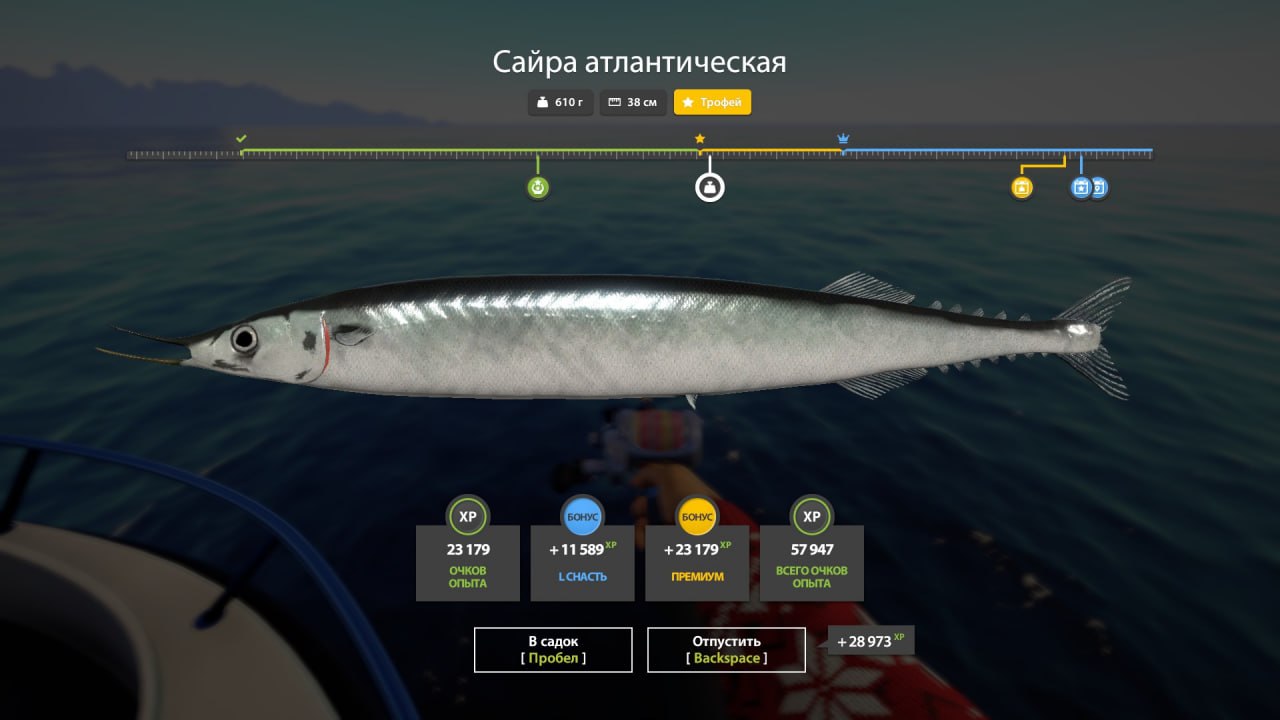 Norwegian Sea — Trophy