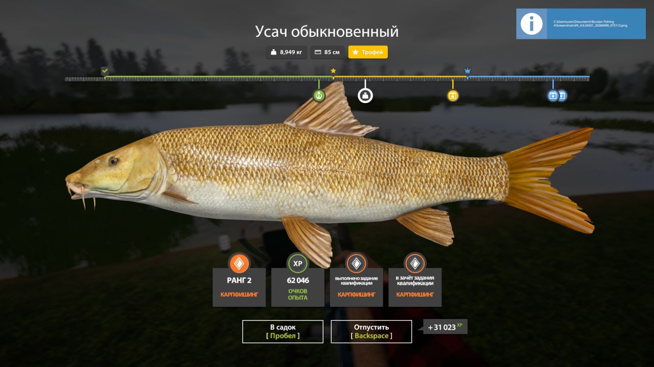 Trophy — Bear Lake