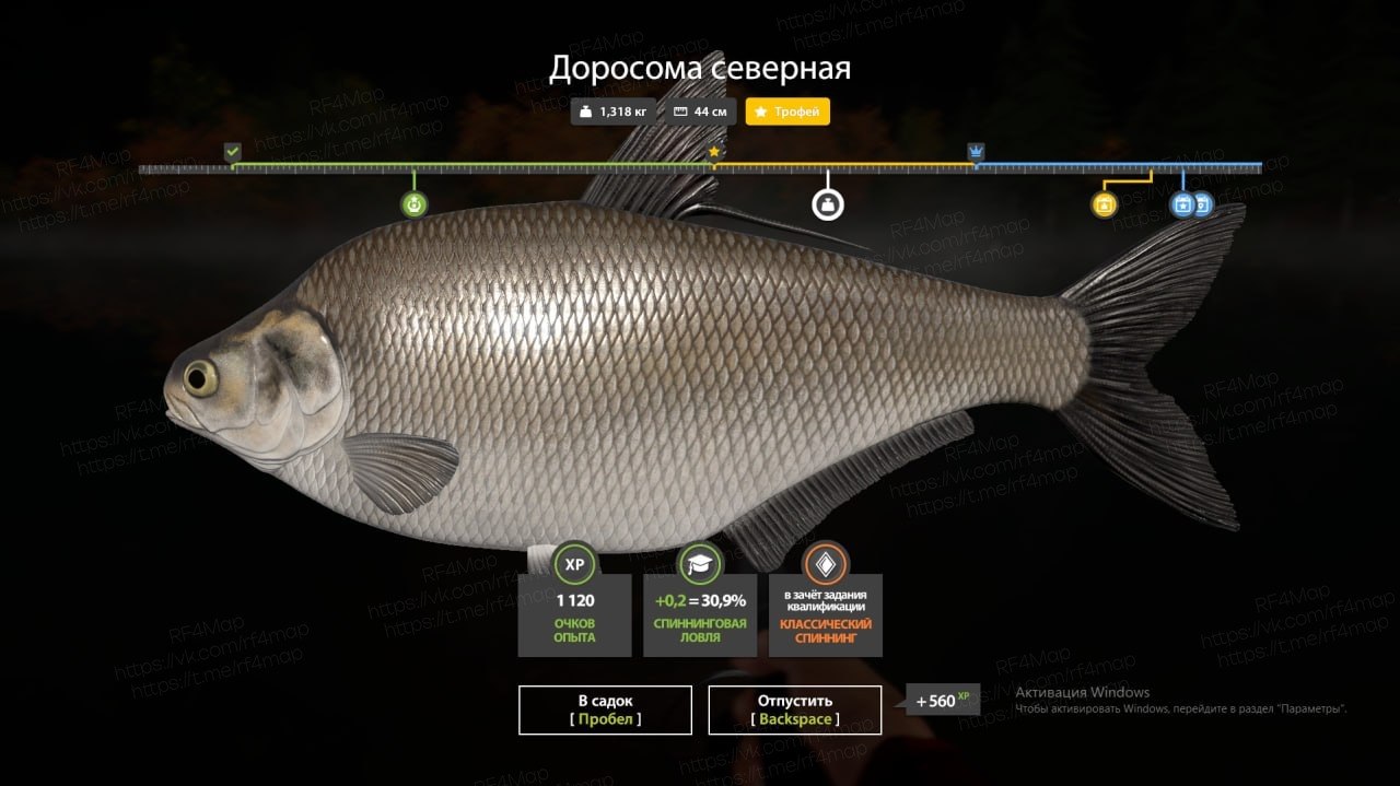 Озеро Лосиное