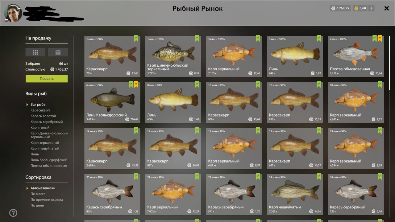 Садок — Озеро Медное