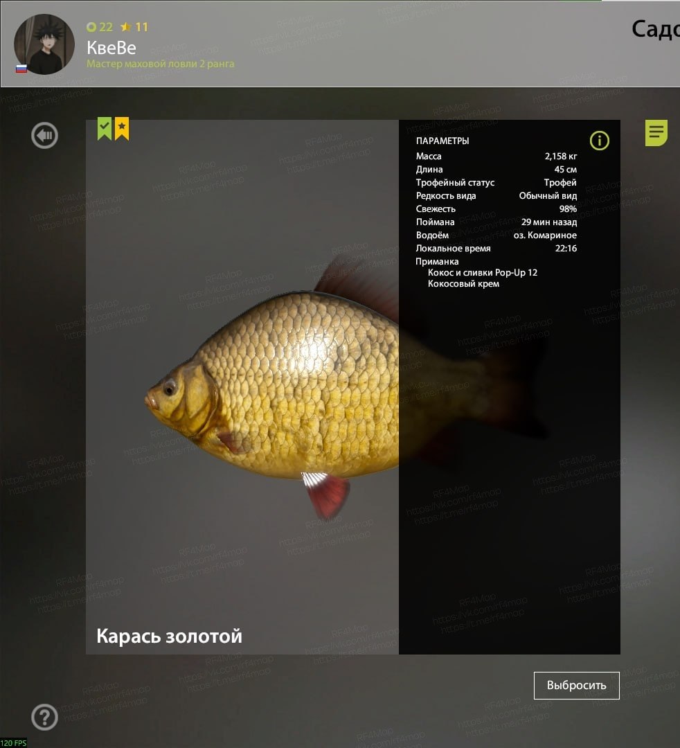 Озеро Комариное