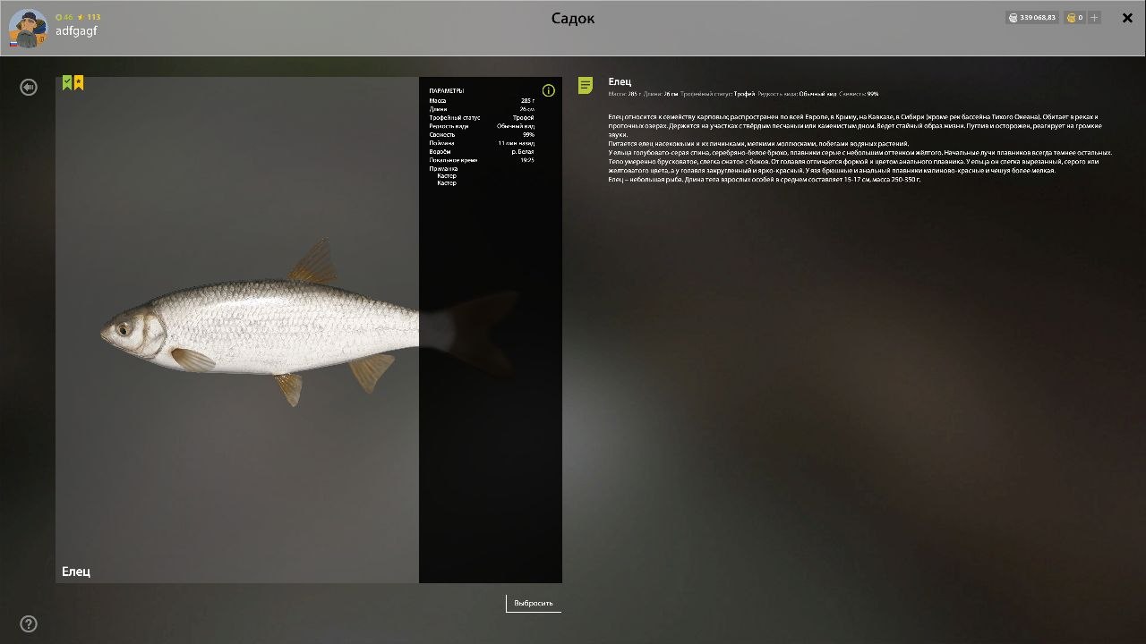 Трофей — Река Белая