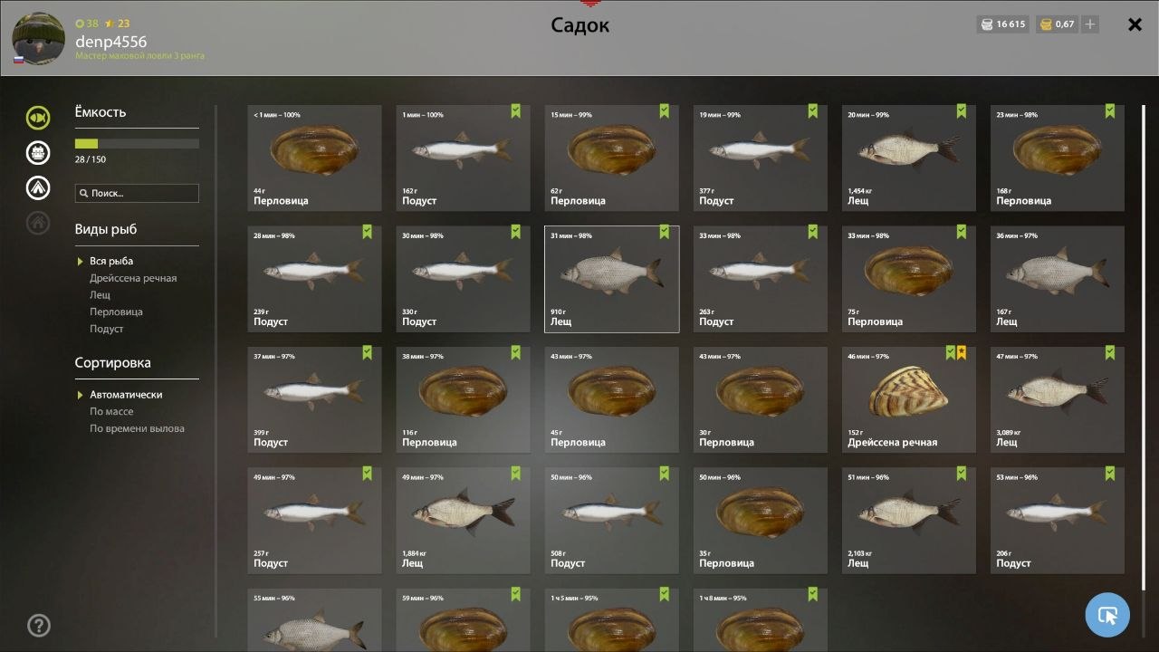 Winding Rivulet — Keepnet