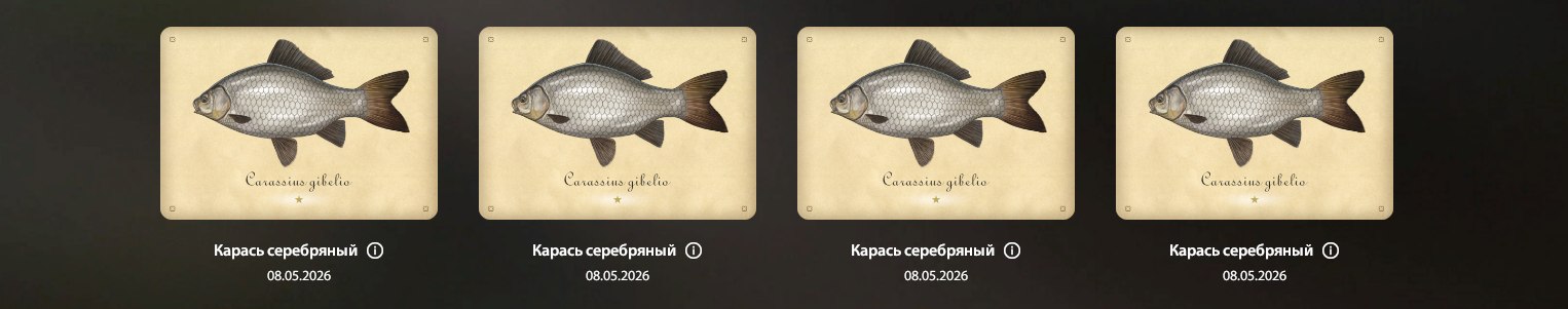 Ладожское озеро — Разное