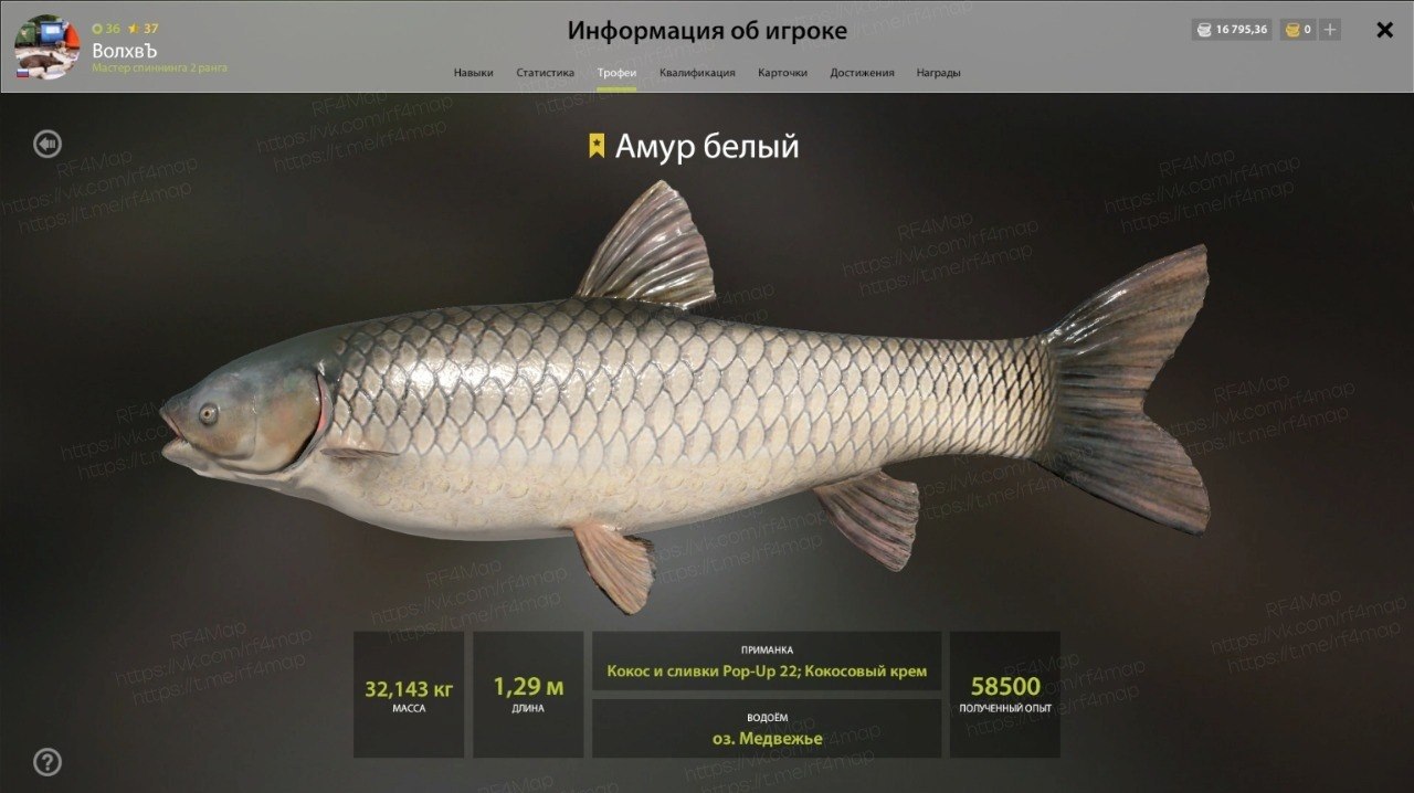 Озеро Медвежье