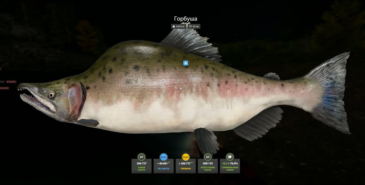 Река Нижняя Тунгуска — Трофей