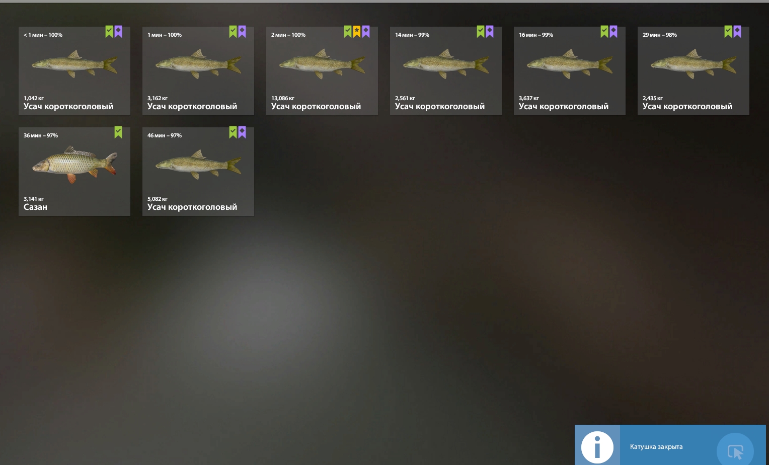 Садок — Река Ахтуба