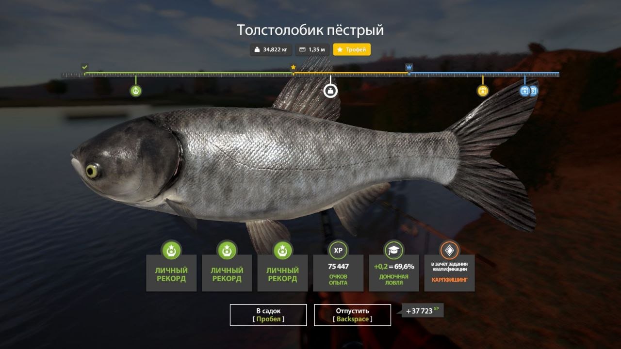 Река Сура