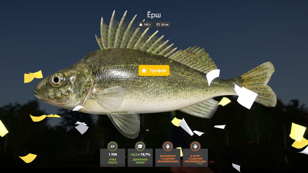 Trophy — Mosquito Lake