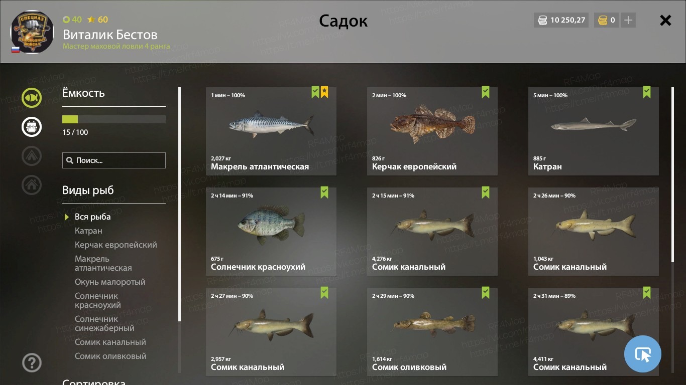 Норвежское море