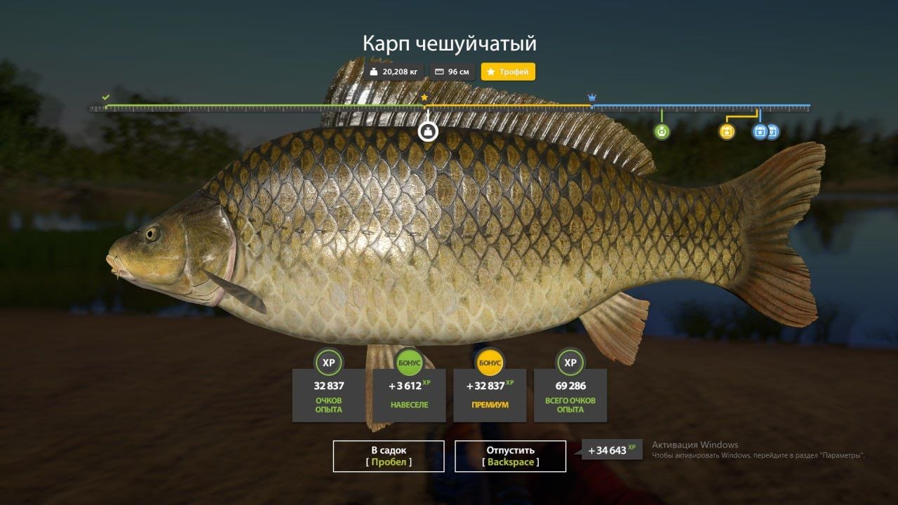 Озеро Янтарное — Трофей