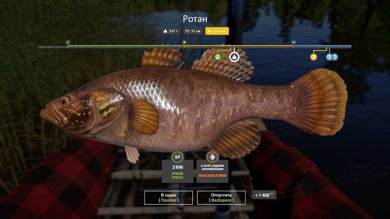 Mosquito Lake — Trophy