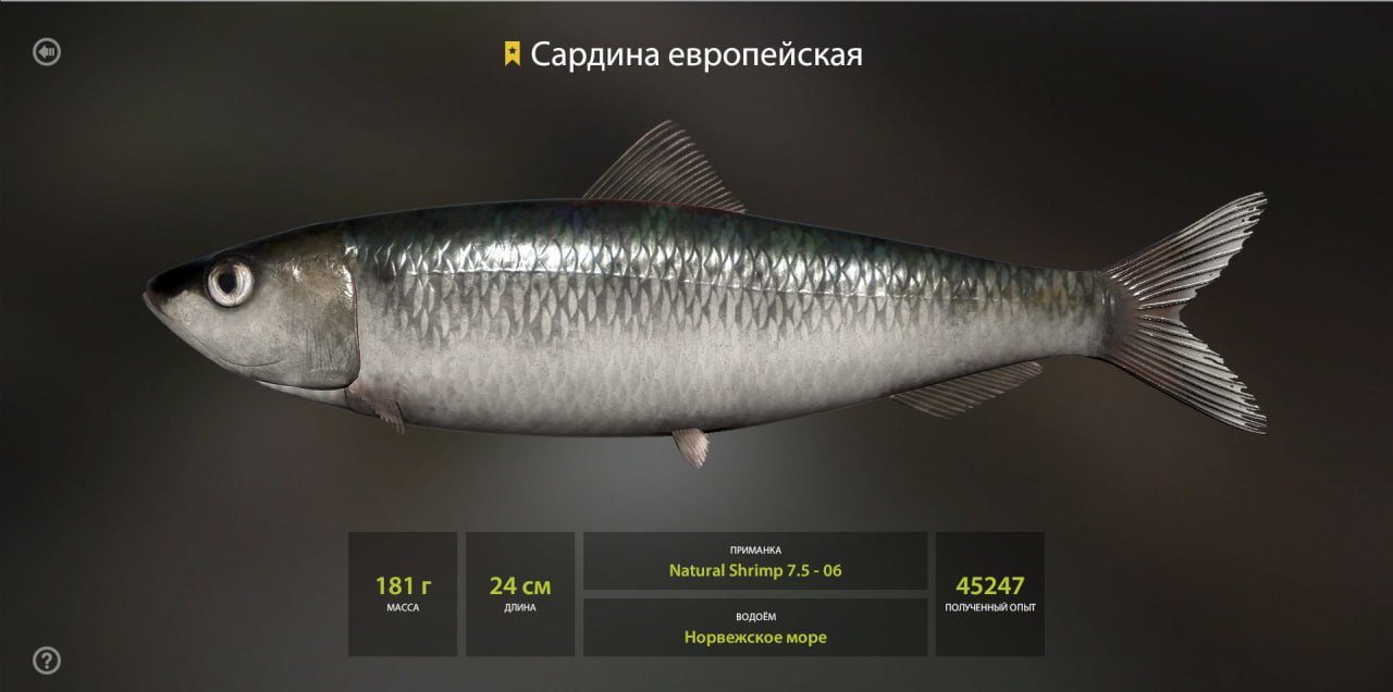 Норвежское море — Трофей