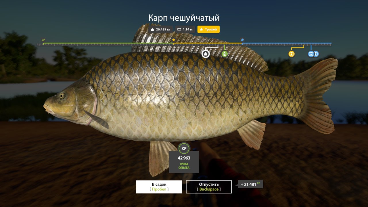 Трофей — Озеро Янтарное