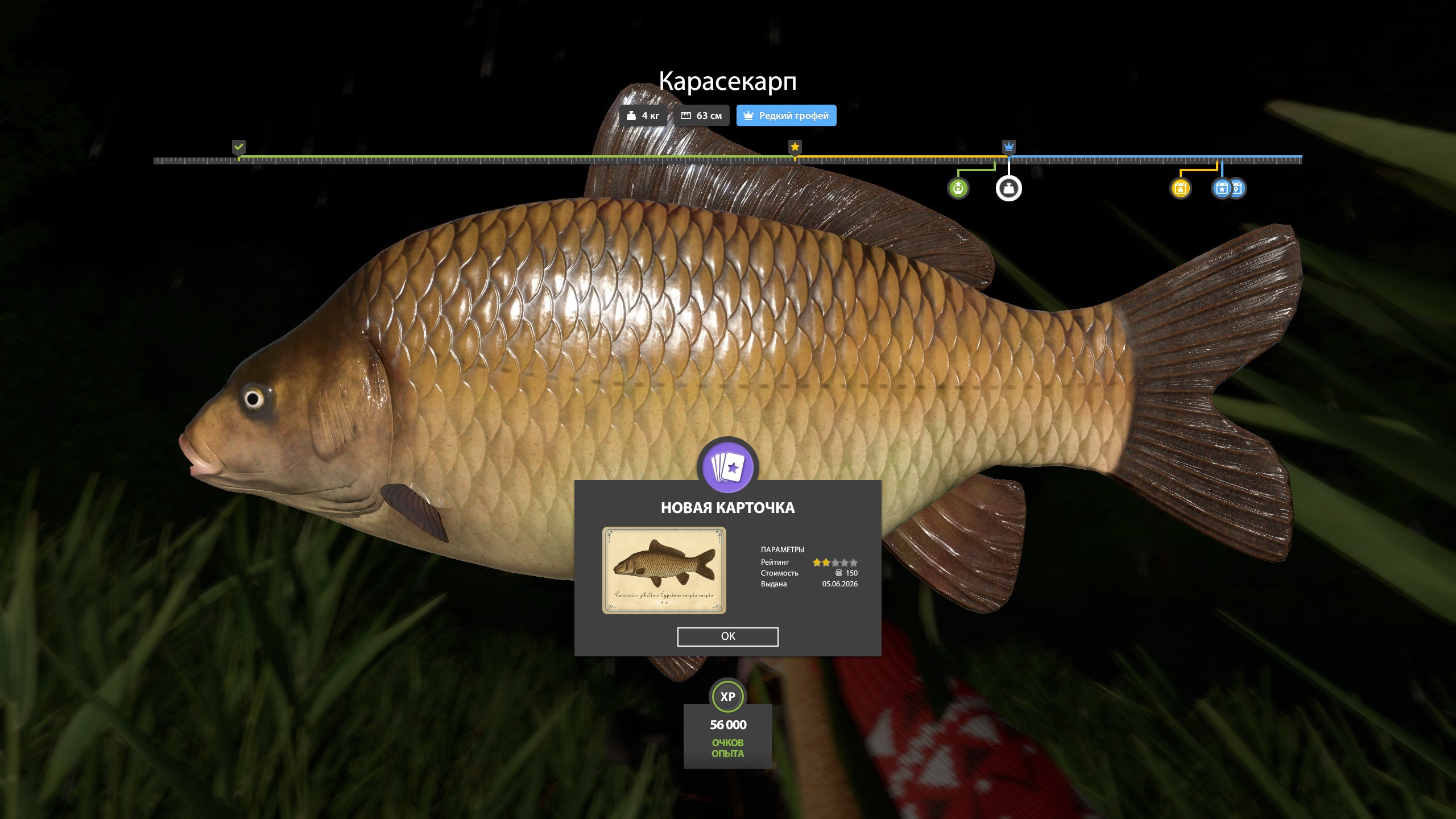 Copper Lake — Trophy