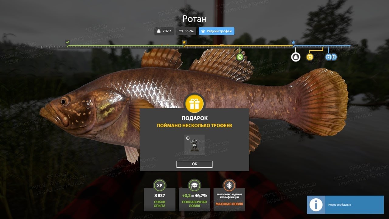 Mosquito Lake — Trophy