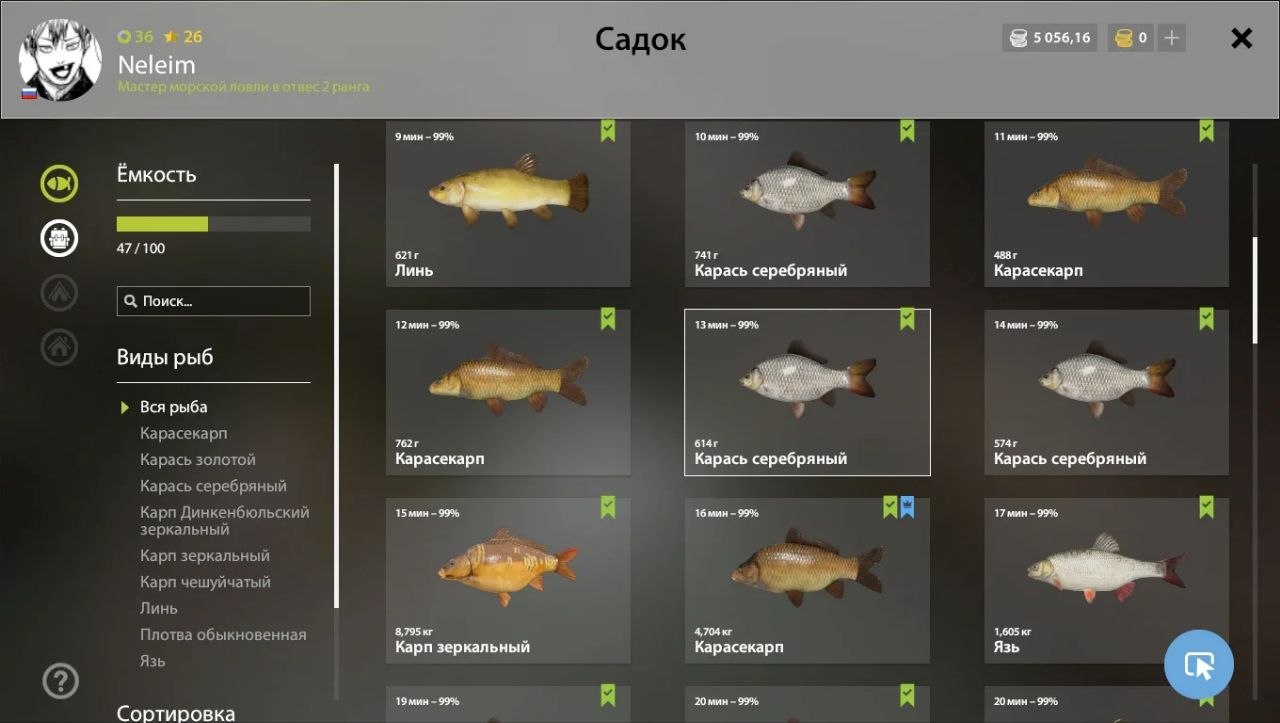 Садок — Озеро Медное