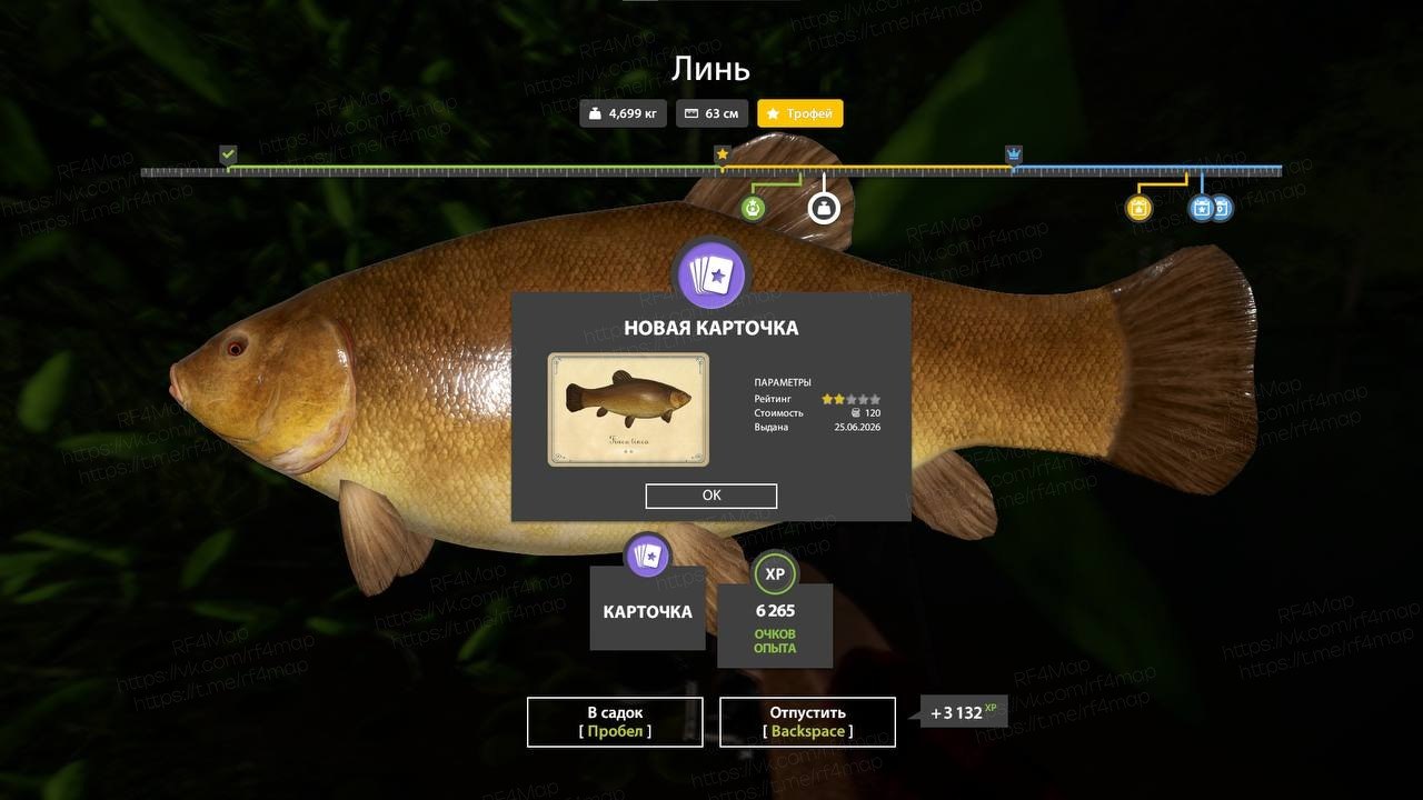 Copper Lake — Trophy