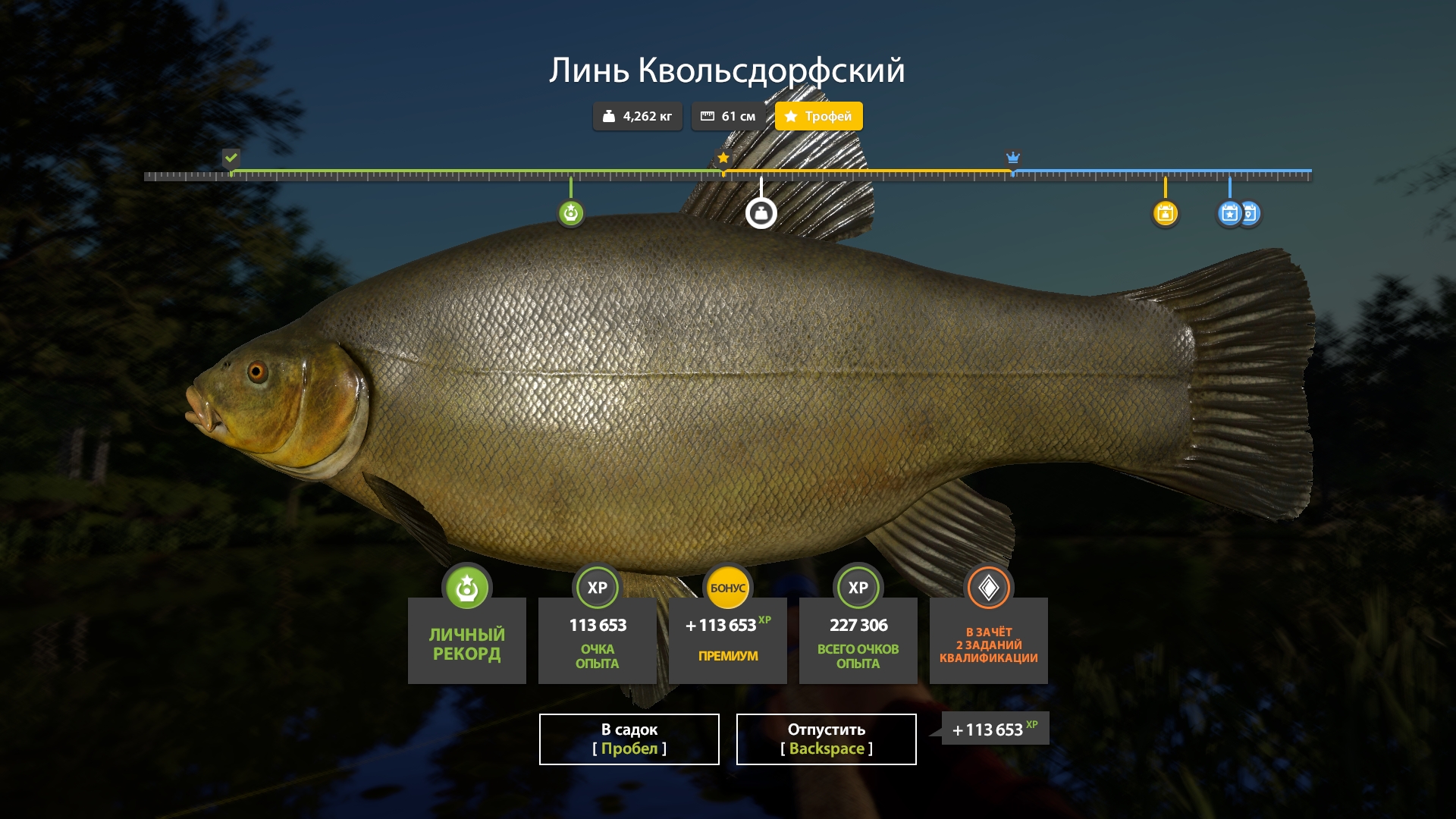 Trophy — Copper Lake