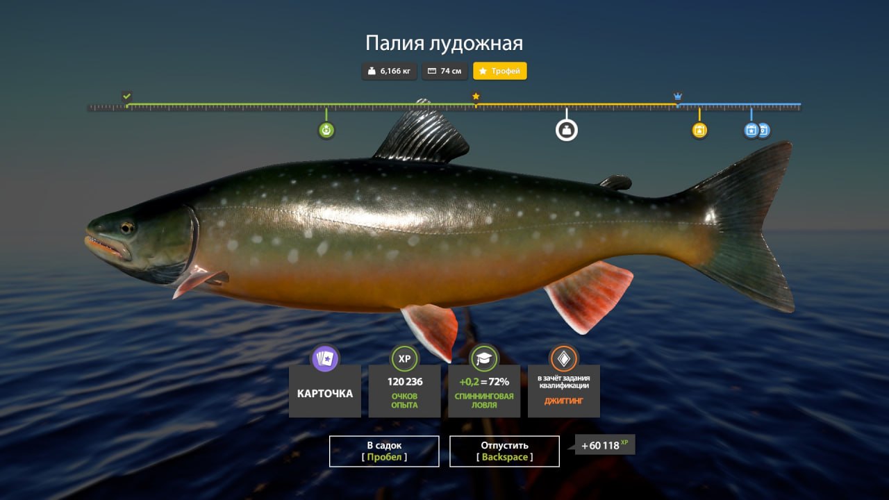 Трофей — Ладожский архипелаг