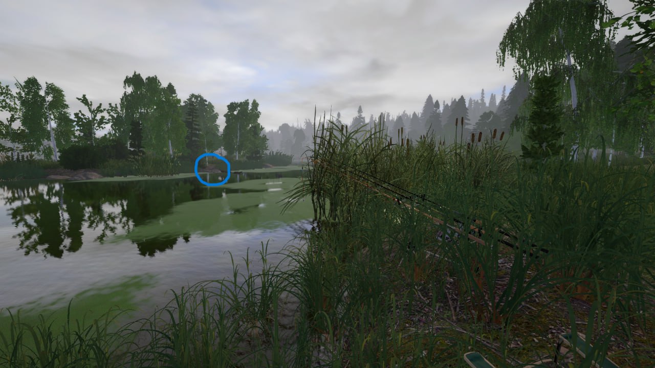 Озеро Старый Острог — Точка