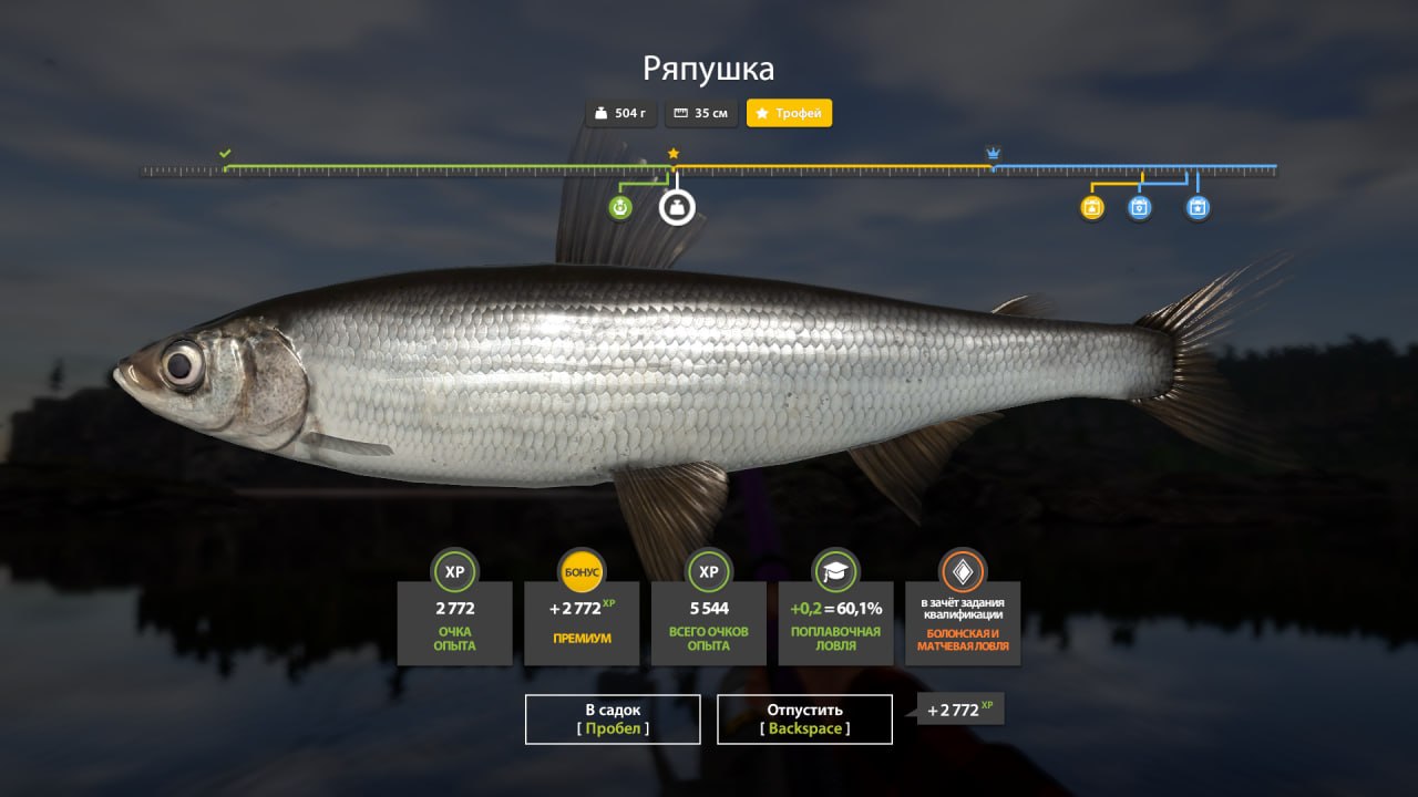 Ladoga Lake — Trophy