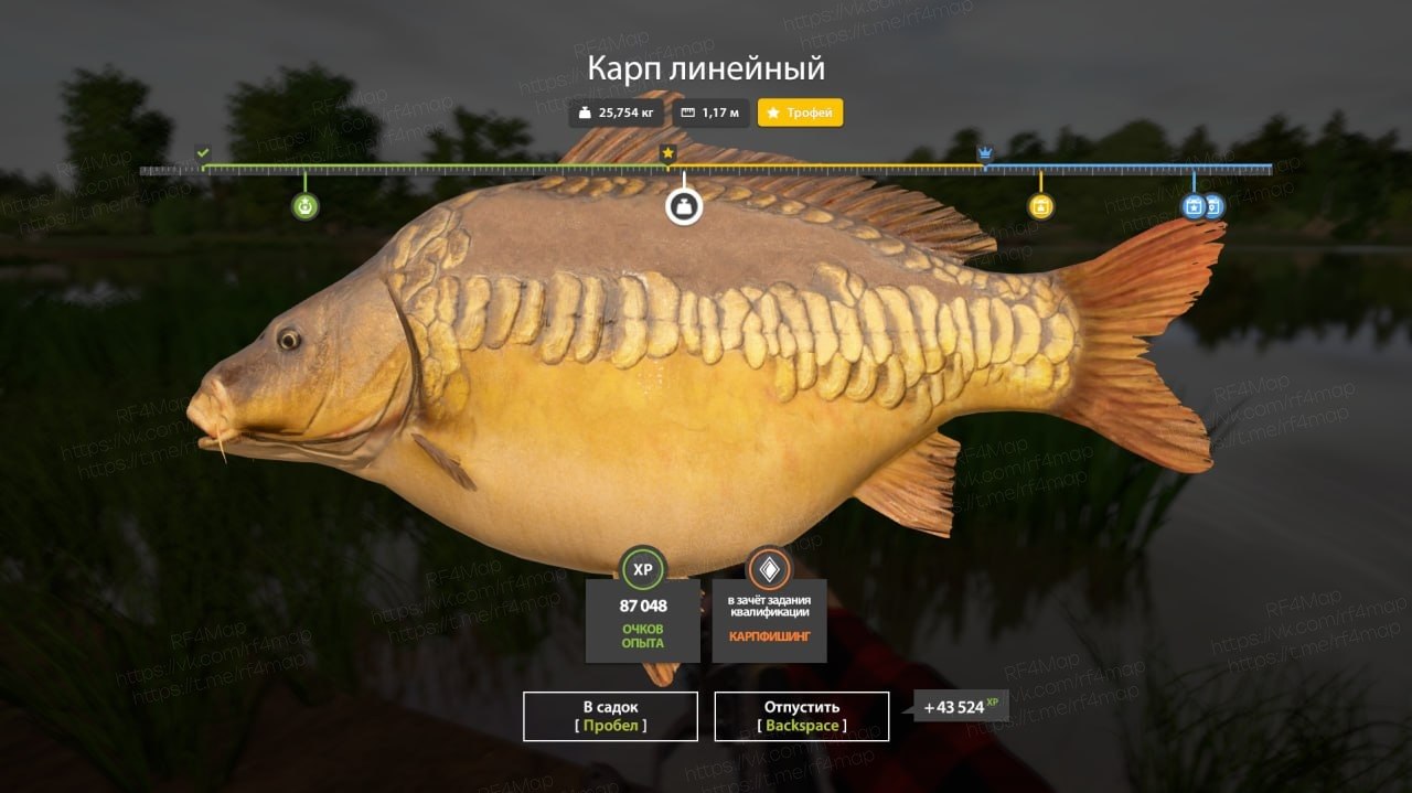 The Amber Lake — Trophy