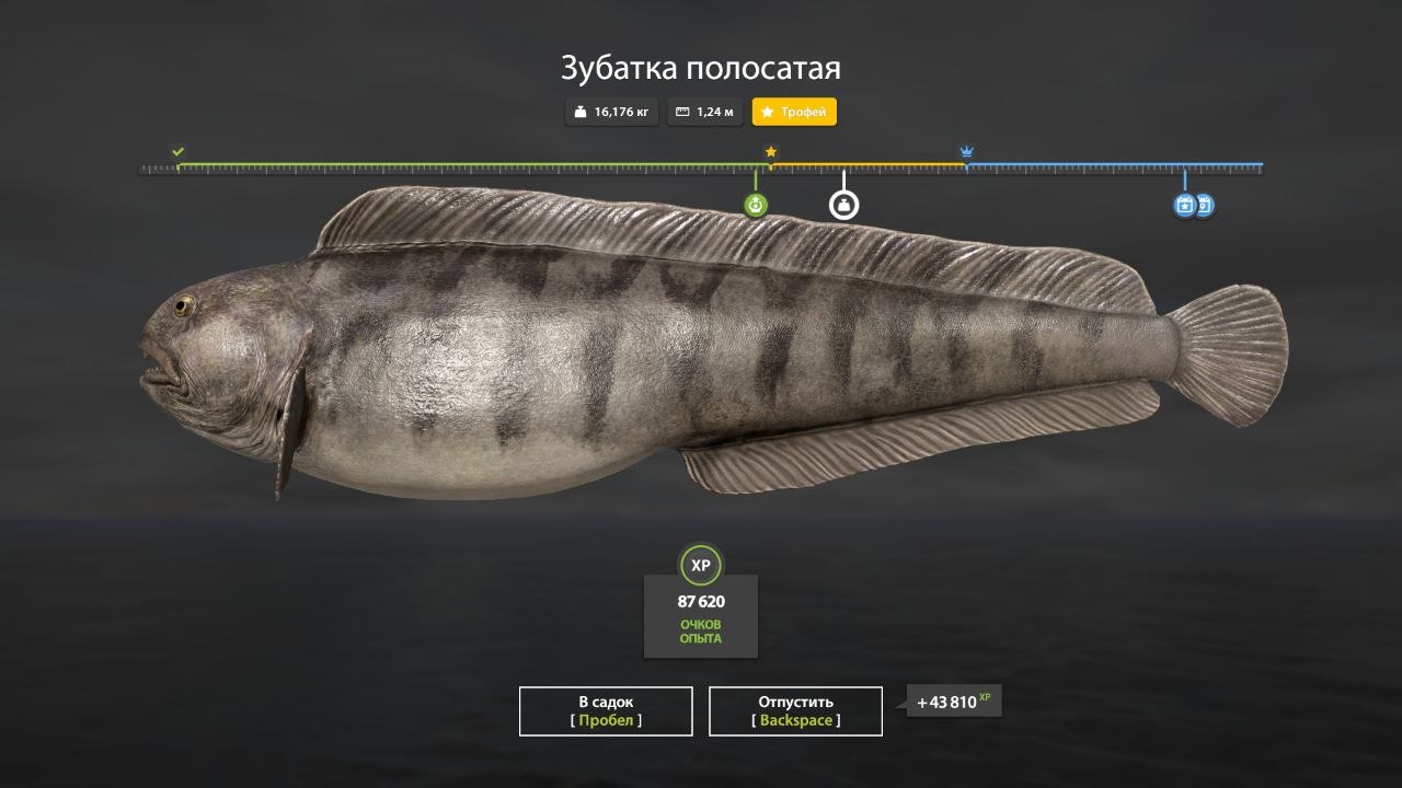 Трофей — Норвежское море