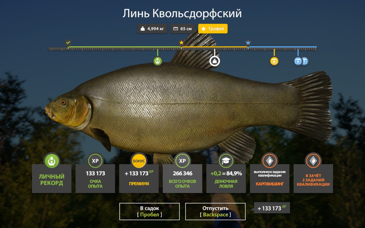 Trophy — Copper Lake