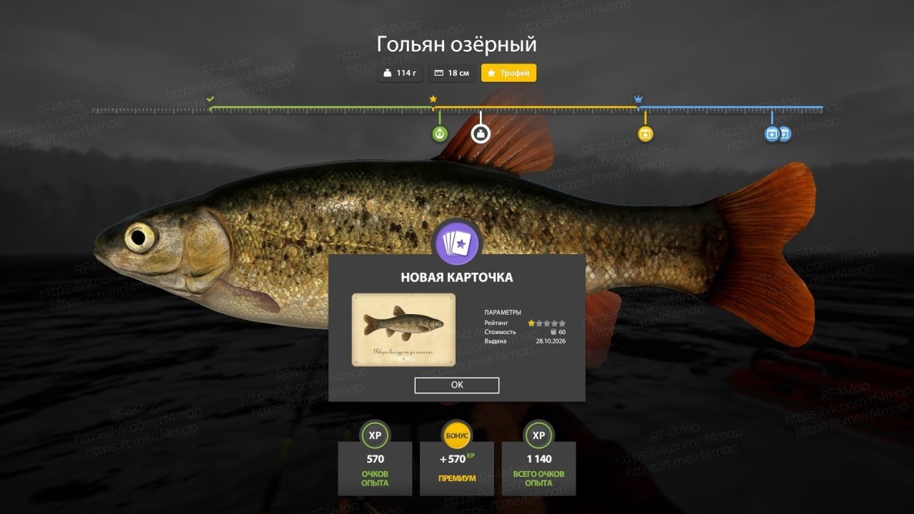 Река Нижняя Тунгуска