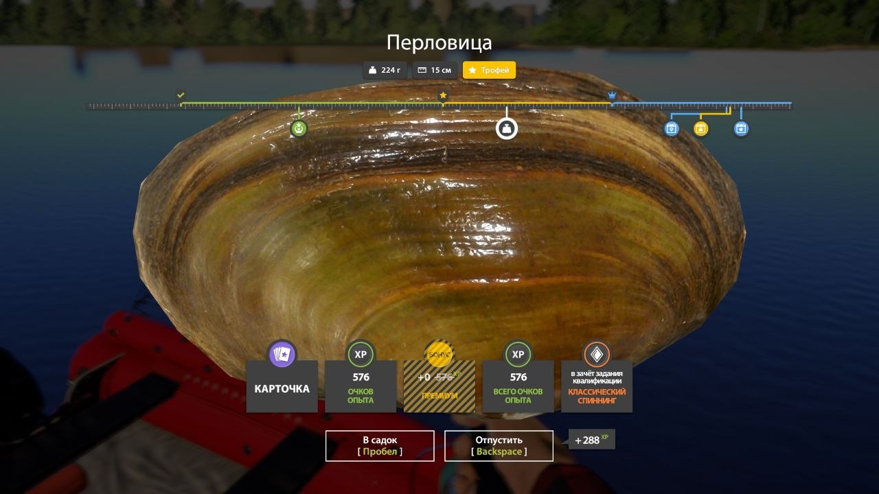 Река Волхов — Трофей