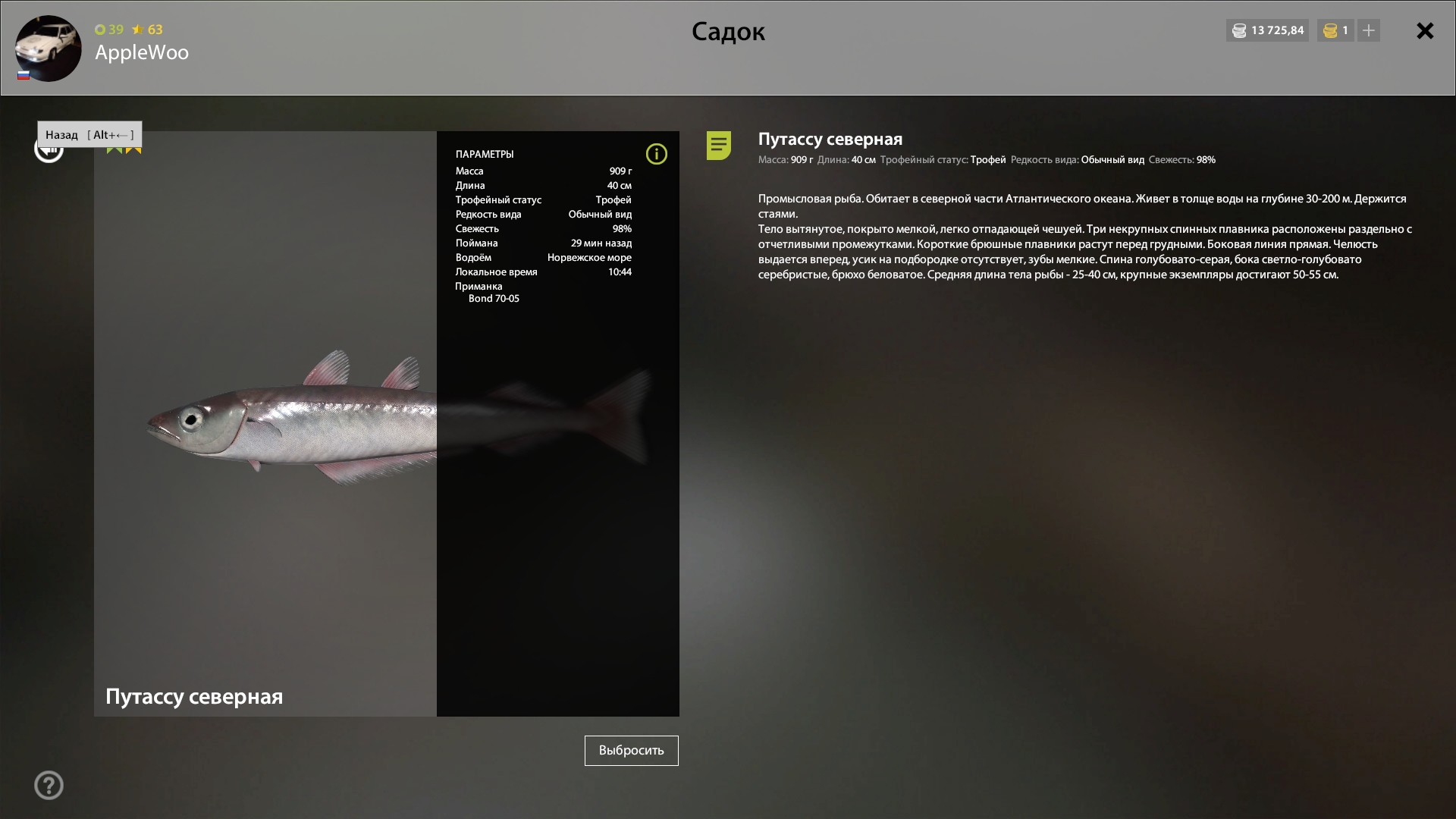 Norwegian Sea — Trophy