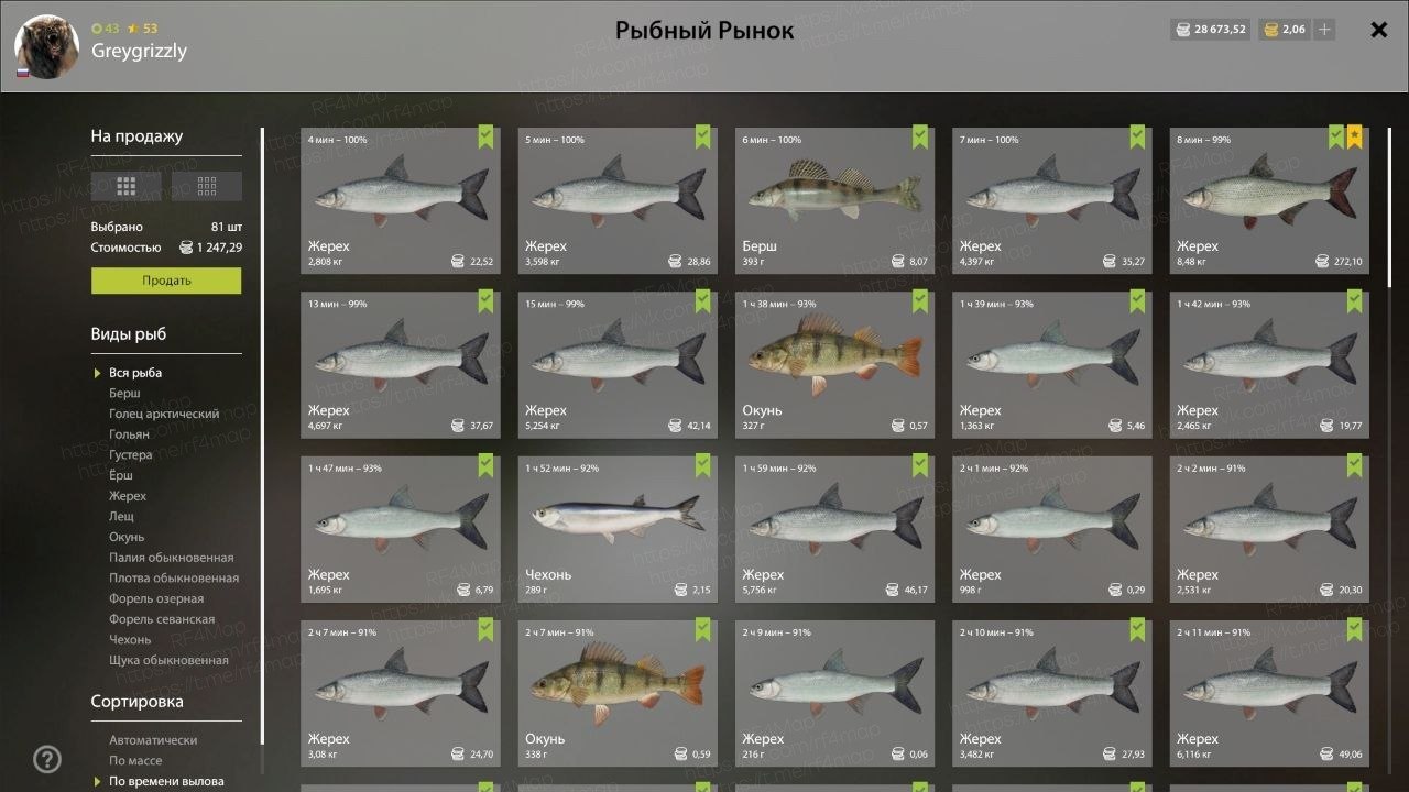 Река Сура