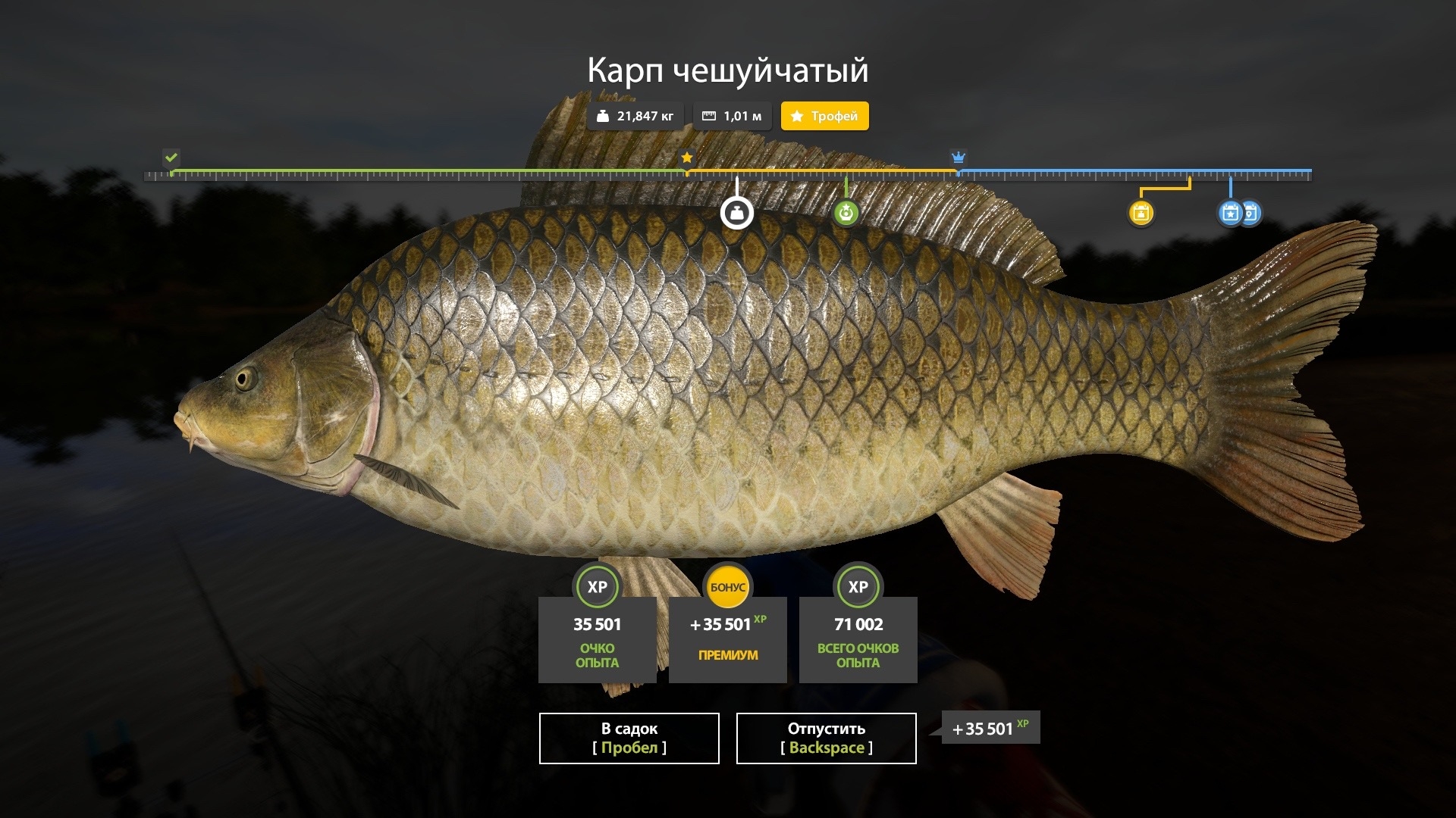 The Amber Lake — Trophy