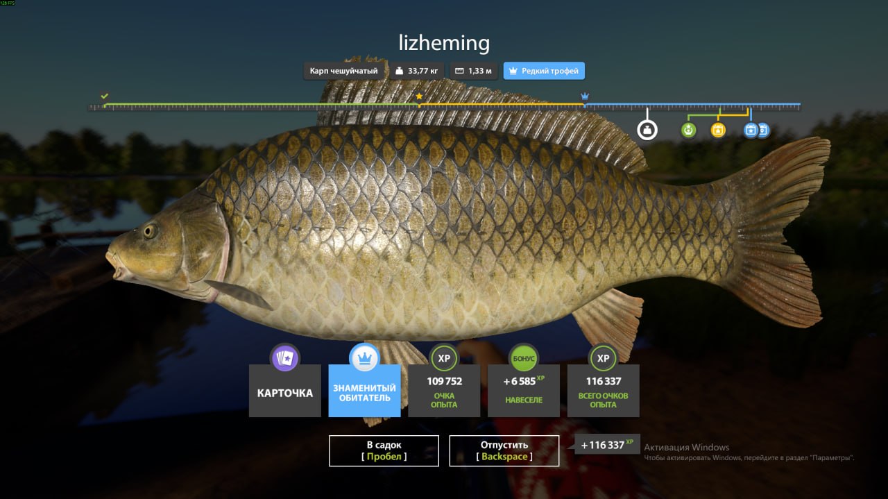 The Amber Lake — Trophy