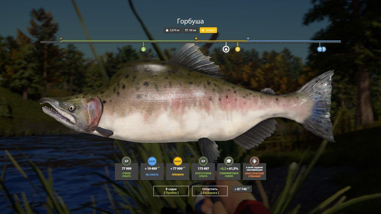 Trophy — Lower Tunguska River