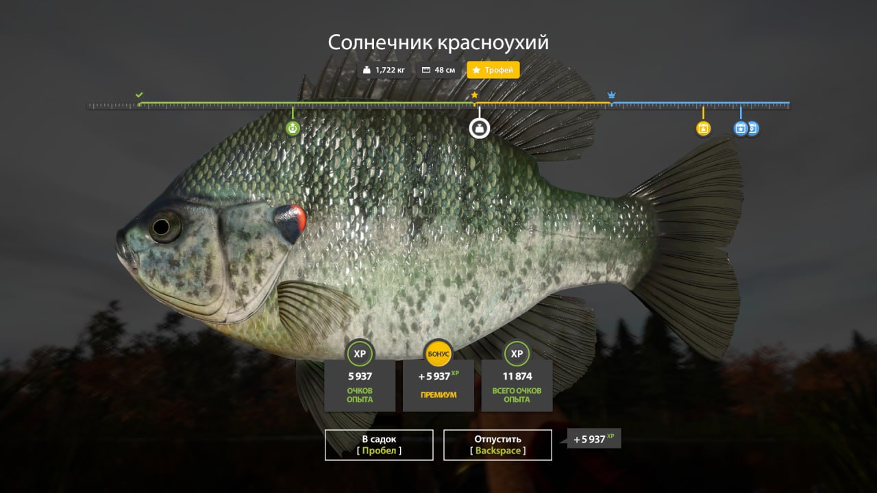 Озеро Лосиное — Трофей