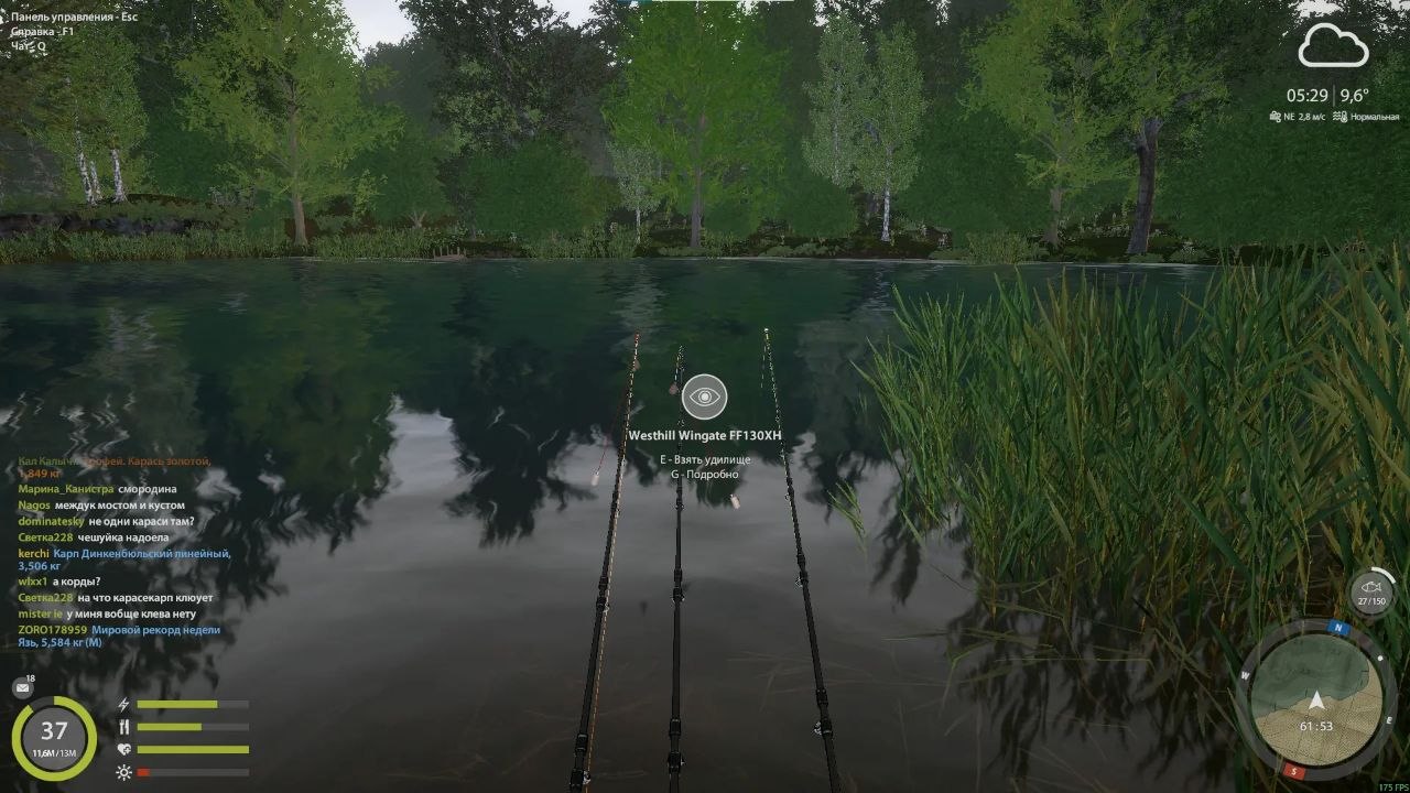 Spot — Copper Lake