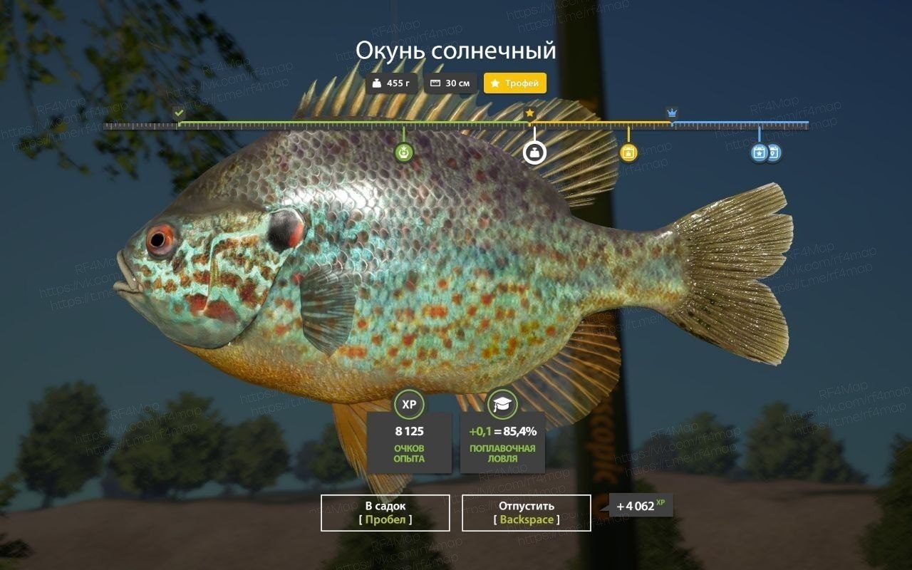 Seversky Donets River — Trophy