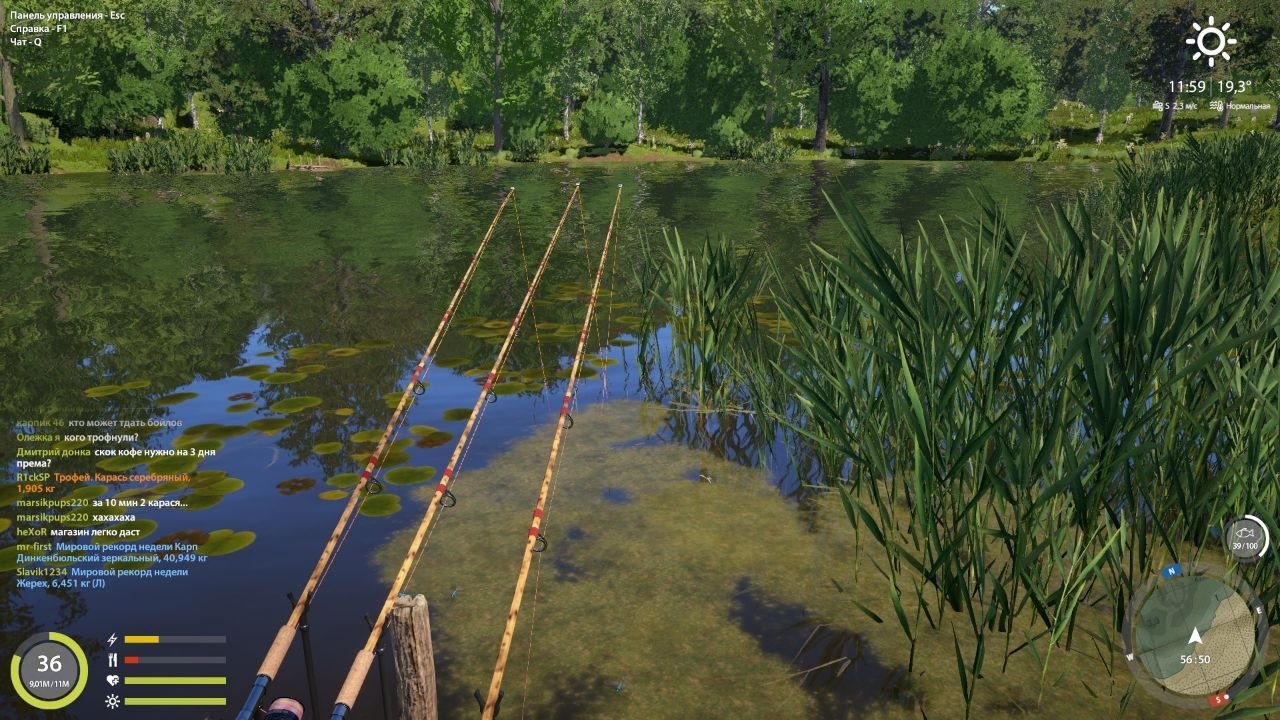 Spot — Copper Lake