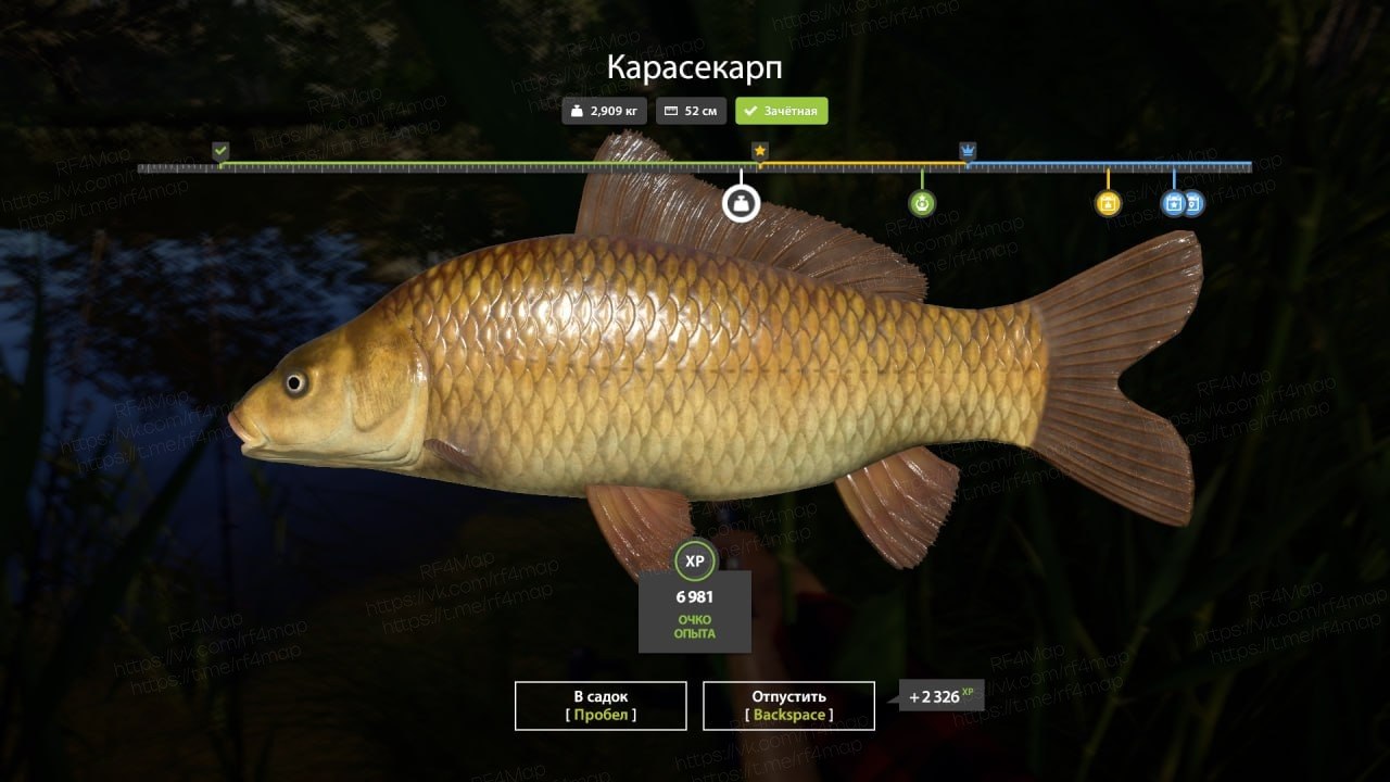 Copper Lake — Trophy