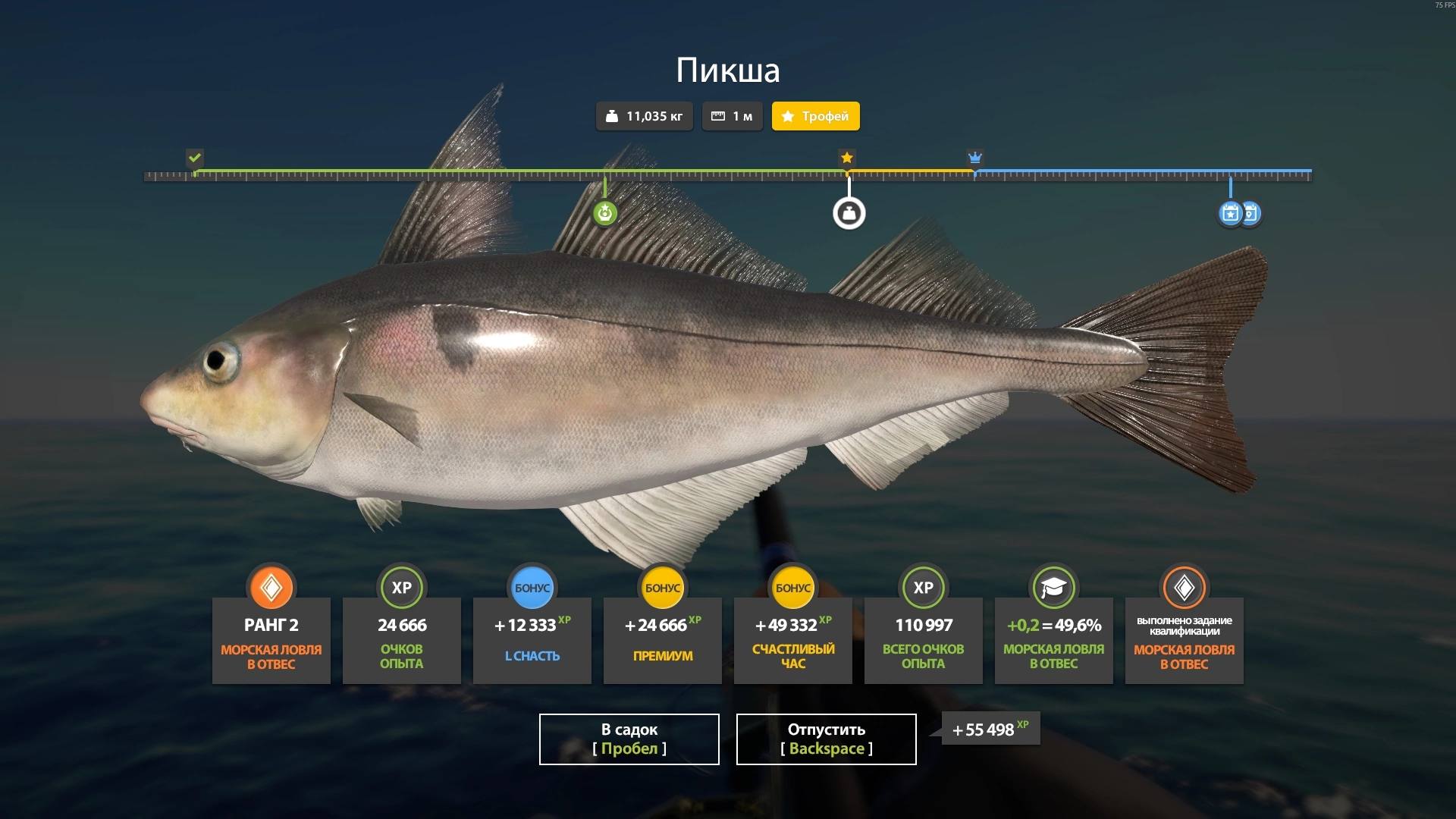 Norwegian Sea — Trophy