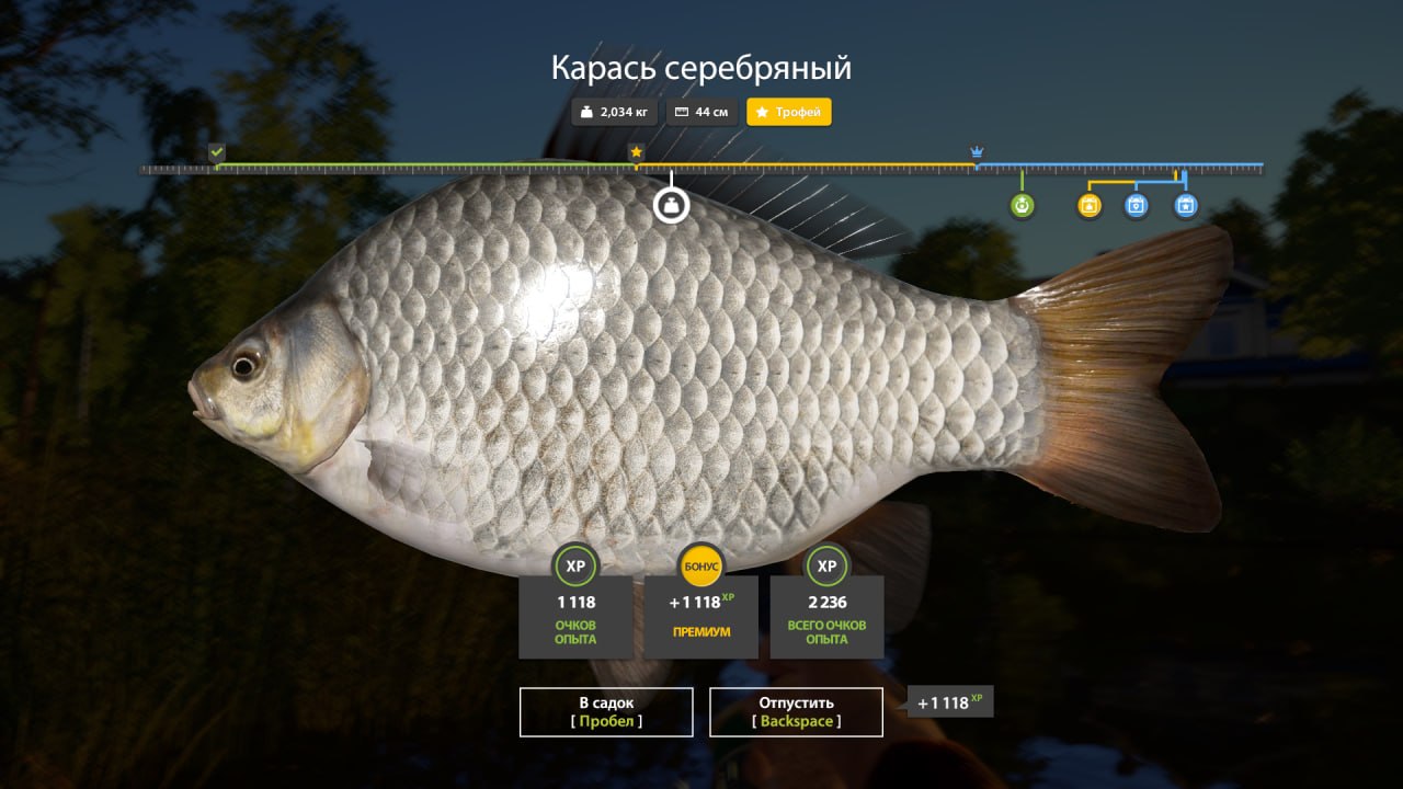 Mosquito Lake — Trophy