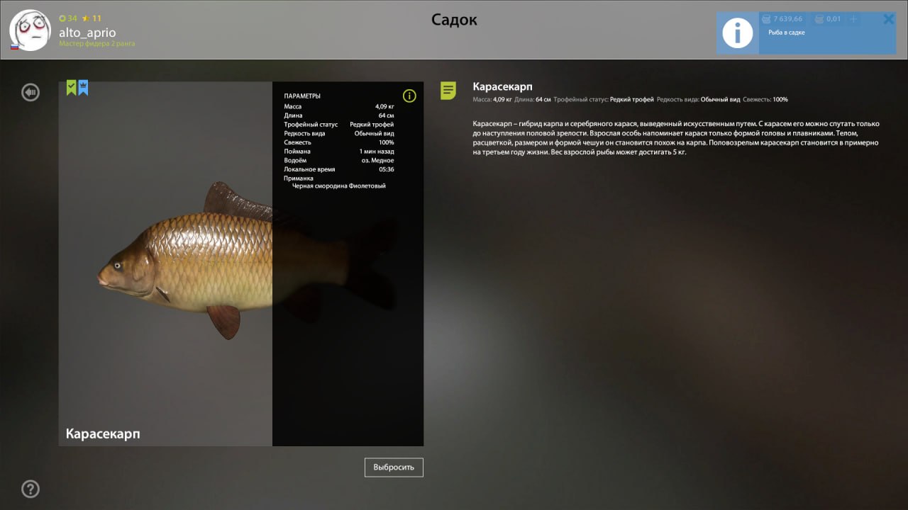 Copper Lake — Trophy