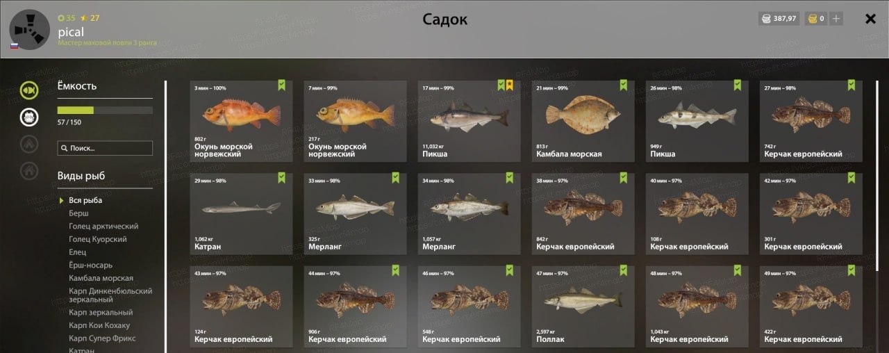 Норвежское море