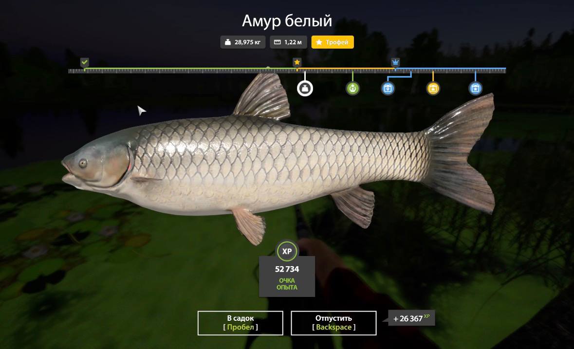 Озеро Старый Острог — Трофей