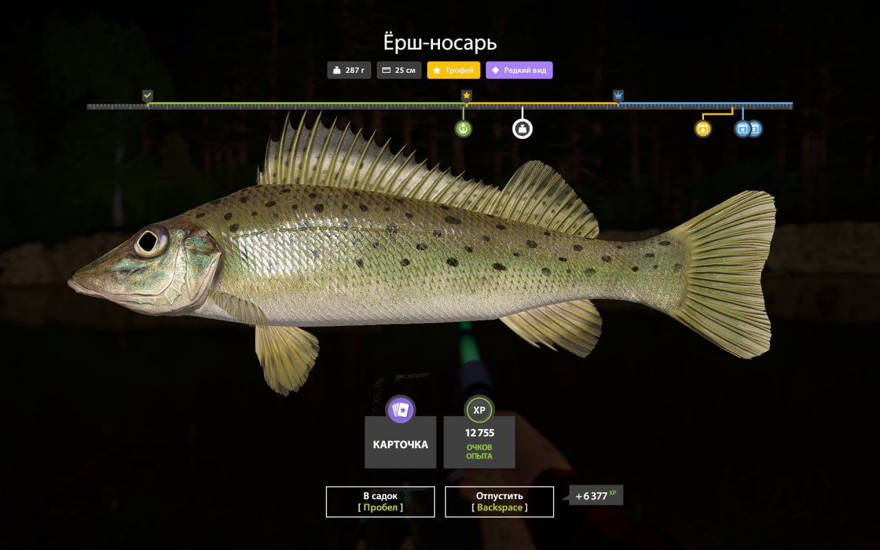 Winding Rivulet — Trophy