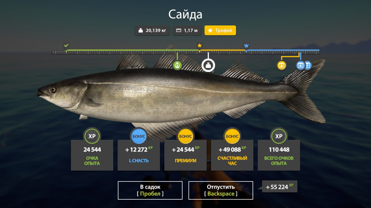 Norwegian Sea — Trophy