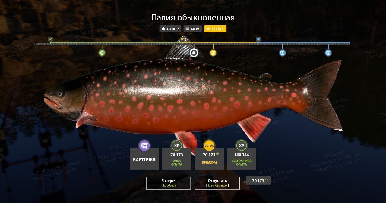 Озеро Куори
